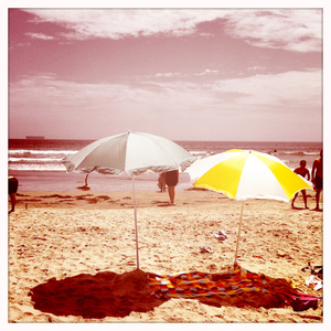 Hip 331593174.416558