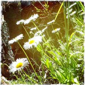 Hip 335480715.144159