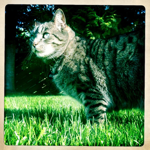 Hip 328327062.317049