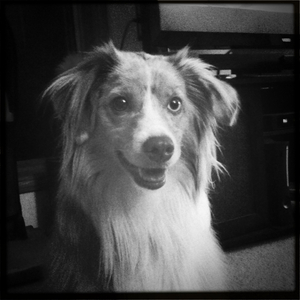 Hip 335324873.927953