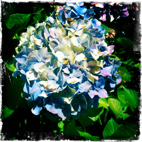 Hip 333913262.590569