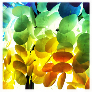 Hip 335468635.792581