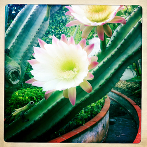 Hip 335513159.000899