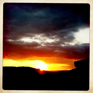 Hip 333403449.498391