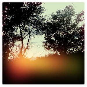 Hip 335322392.504259