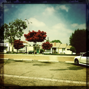 Hip 335470374.557507