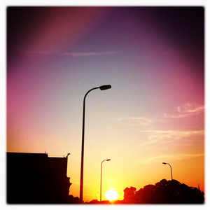 Hip 333659531.062426