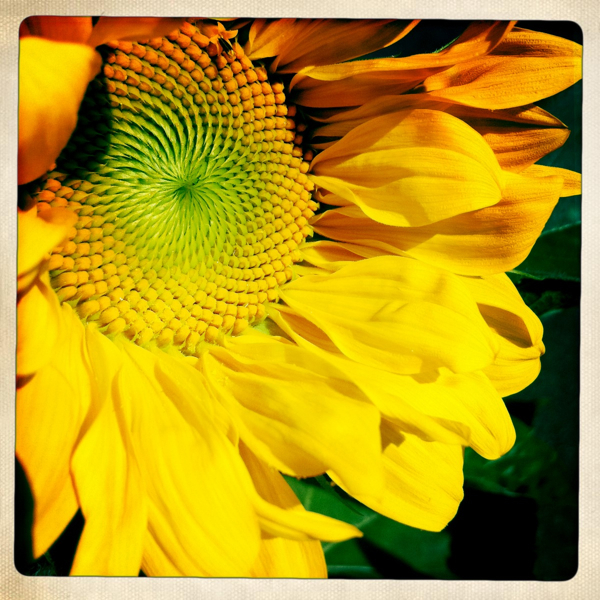 Hip 335207125.726382