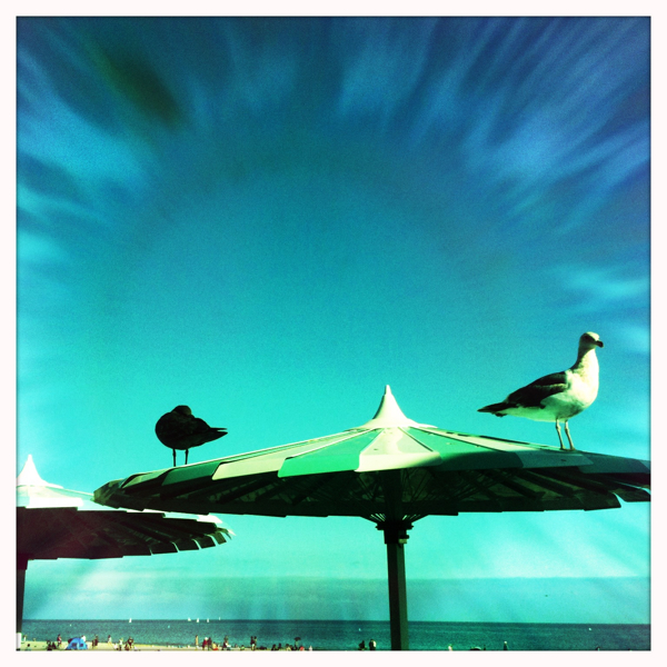 Hip 335493394.216927