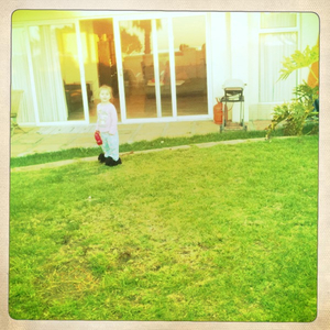 Hip 335203766.330068