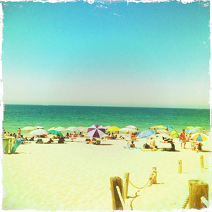 Hip 333716054.134938