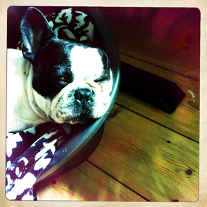 Hip 335524302.993814