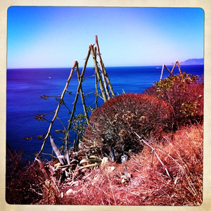 Hip 335525245.951839