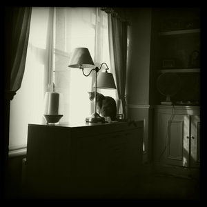 Hip 335436846.784719