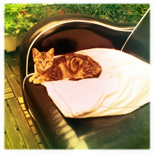 Hip 334753447.846175