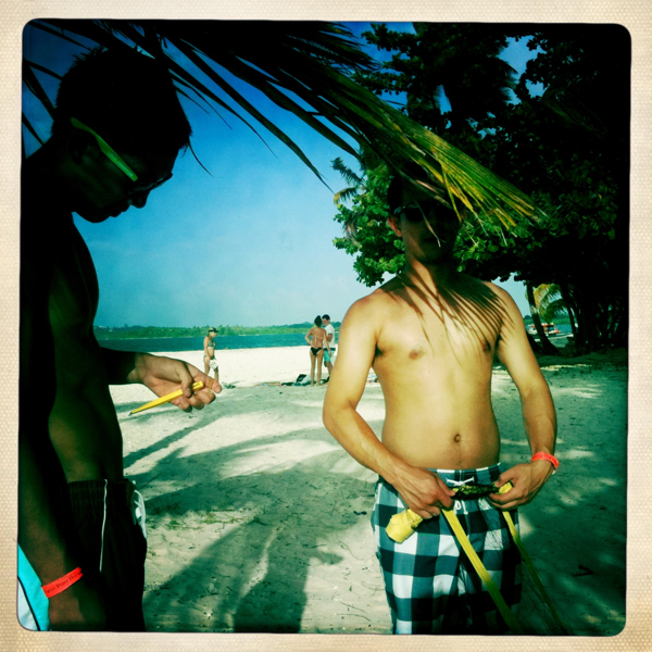 Hip 332974918.253549