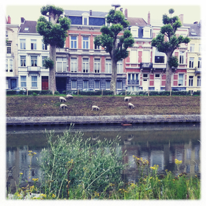 Hip 332776660.732203