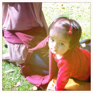 Hip 335529337.932621