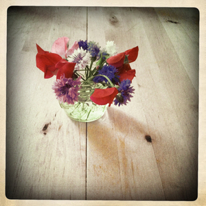 Hip 335530436.976830