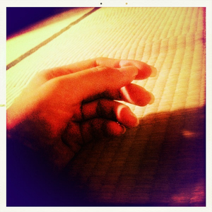 Hip 335530484.377932