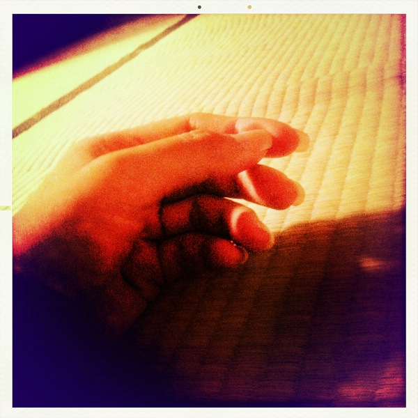 Hip 335530484.377932