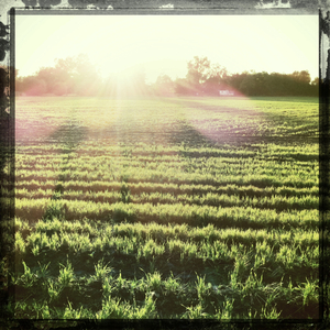 Hip 335468211.451150