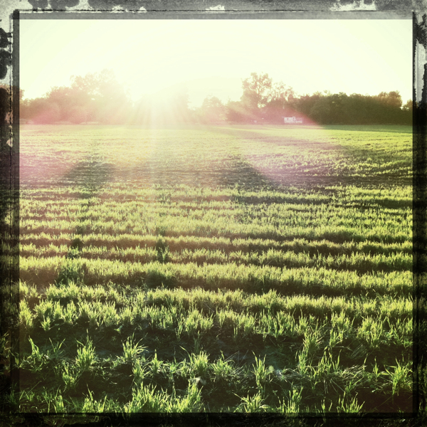 Hip 335468211.451150