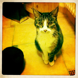 Hip 334091920.771172