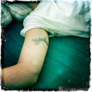 Hip 335533141.336716