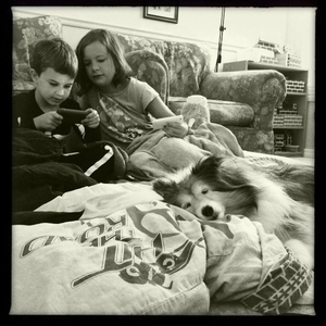 Hip 334239350.904681