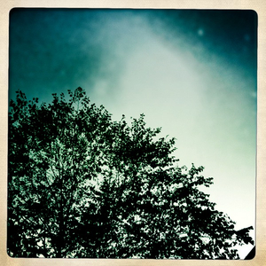 Hip 335492369.166131