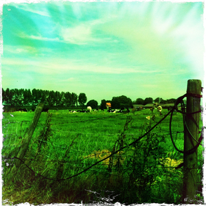 Hip 335534534.346882