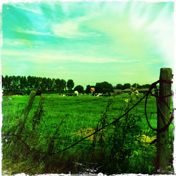 Hip 335534534.346882