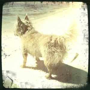 Hip 310673542.964669