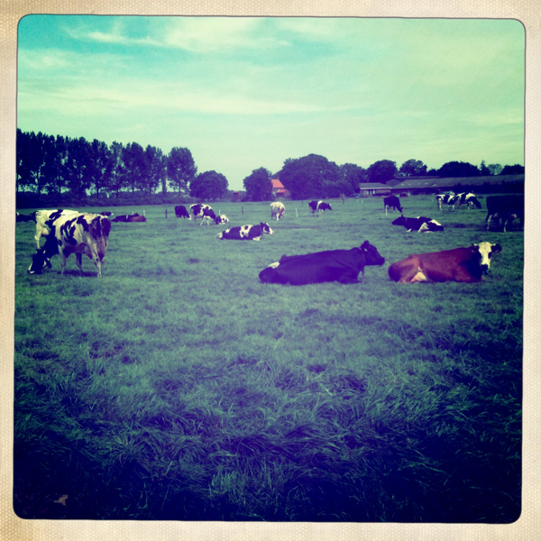 Hip 335534894.948317