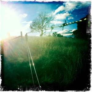 Hip 335514705.821905