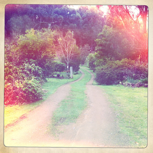 Hip 335501602.189492