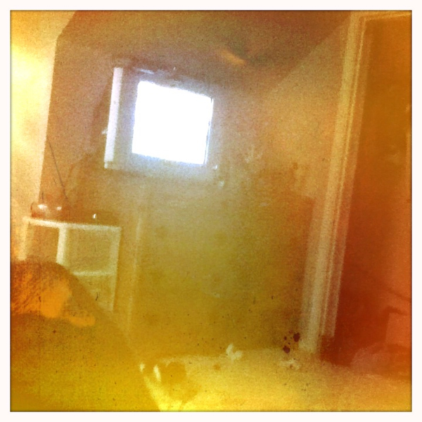 Hip 335535895.310998