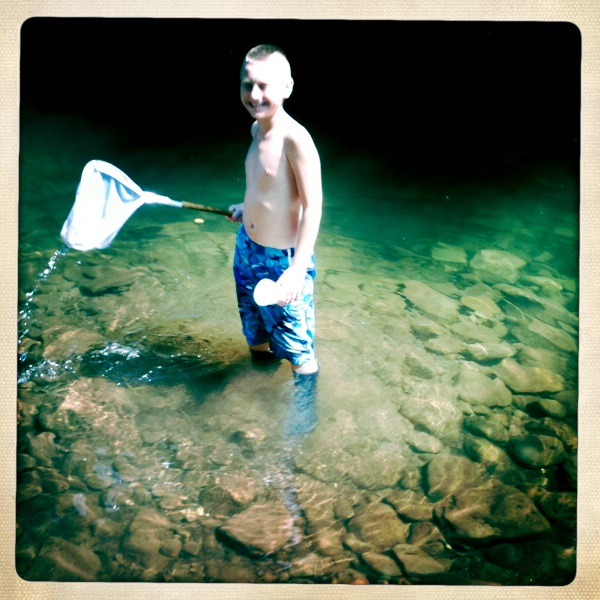 Hip 332534493.341752