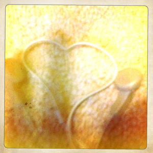 Hip 335538875.957353