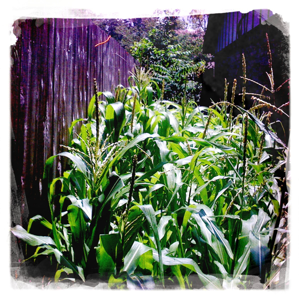 Hip 334865964.788870