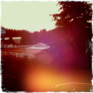 Hip 335539376.910560