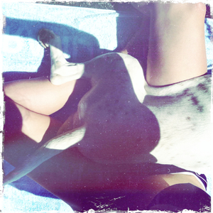 Hip 335533428.478201