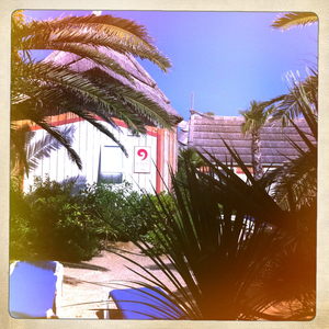 Hip 335541677.302498