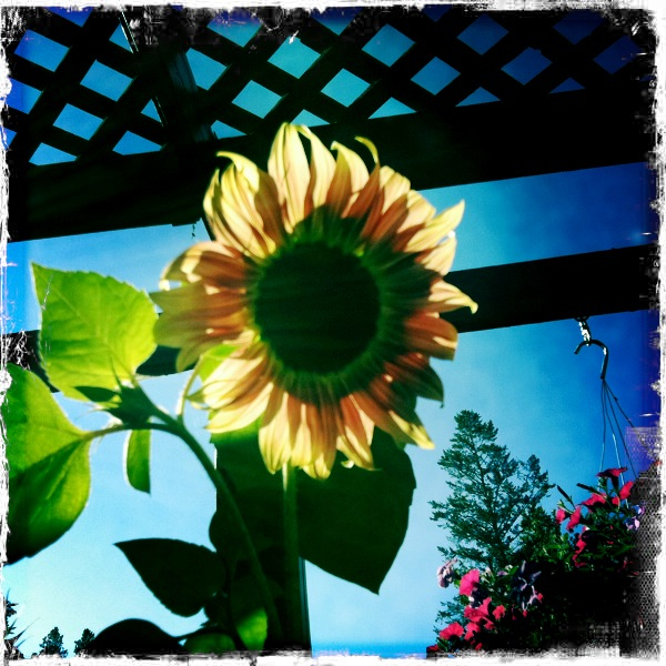 Hip 334974398.887252