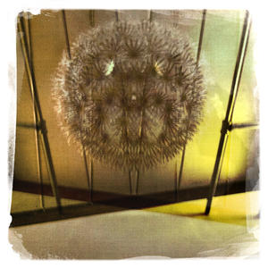 Hip 335543286.567850