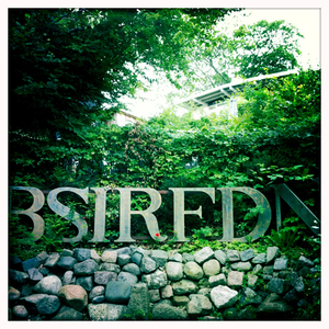 Hip 335027299.773565