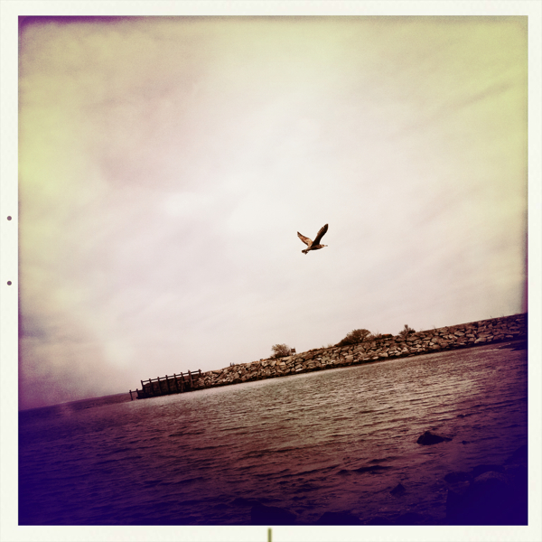 Hip 325803932.180451