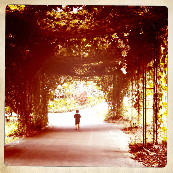 Hip 335264944.507985