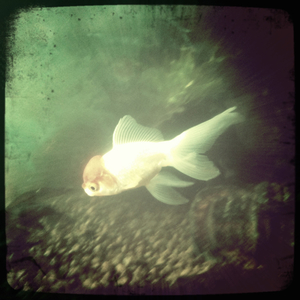 Hip 335544415.328448